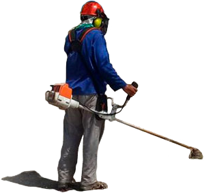 Deca